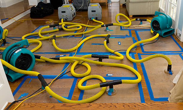 Professional Basement Flood Cleanup technician working in Forest Lakes, AZ